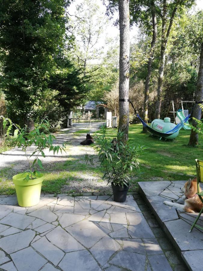 Titi'S Chalet 杜柏 外观 照片
